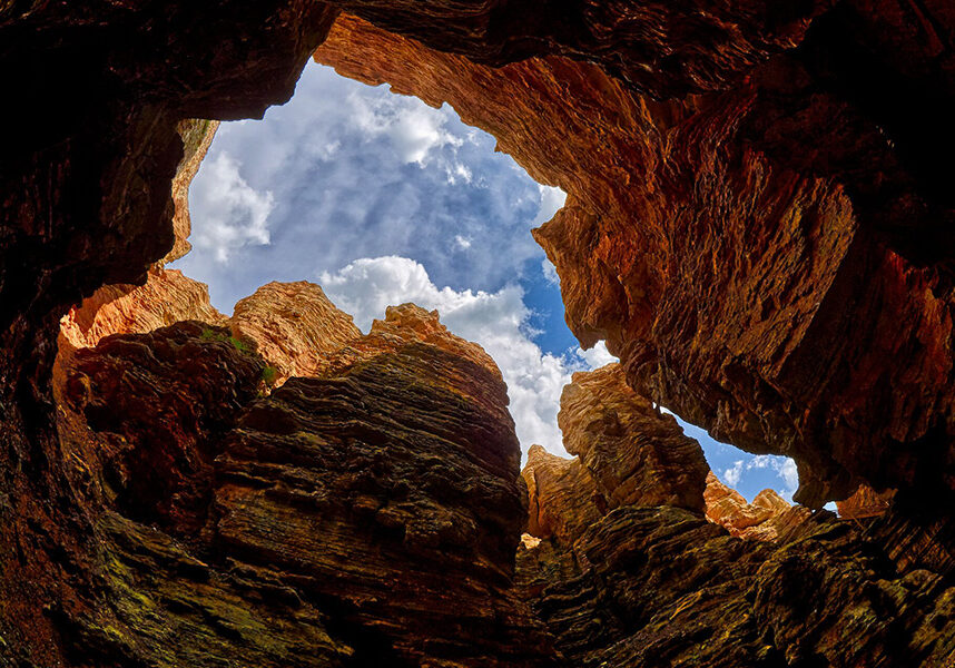 2025_TOR_CathedralOfNature_Gallery4_900x600