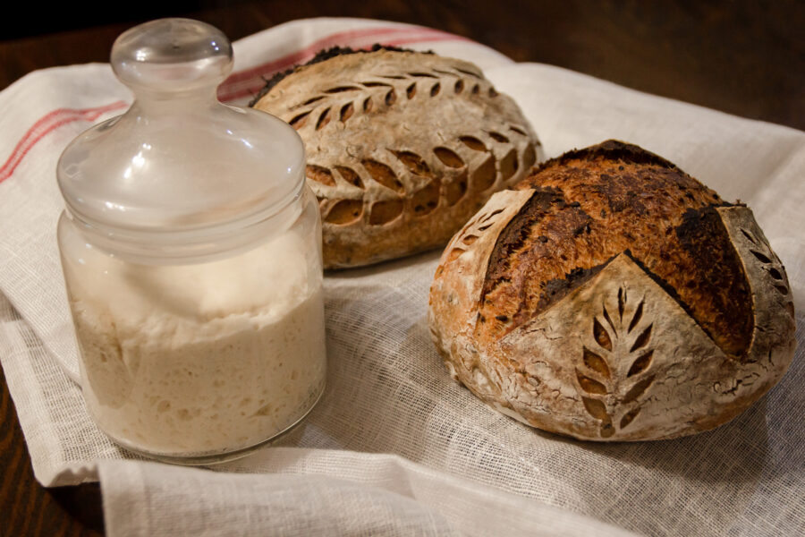 Sourdough for bread at home. Cultivation of sourdough for cooking wholesome bread. Sourdough for bread at home. Cultivation of sourdough for cooking wholesome bread.