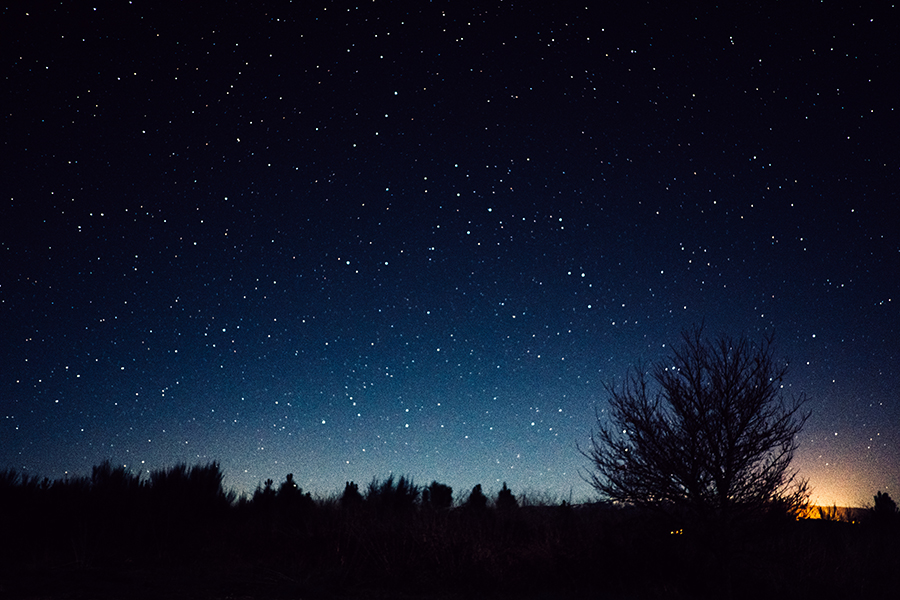 starry sky with tree skyline